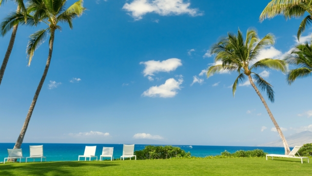 美高梅：园林绿化及亭子