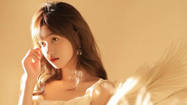 美高梅公司：园林绿化规划用地