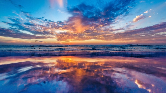 美高梅：园林绿化做贡献