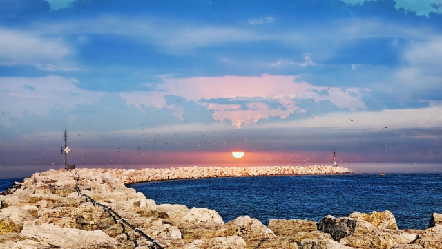 园林绿化养护需求肥料