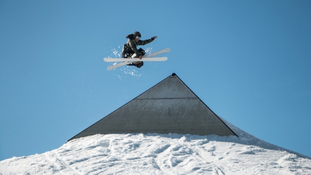 美高梅公司：园林绿化修剪造型太整齐了