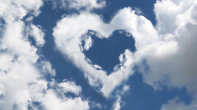 MGM：园林绿化植物病害