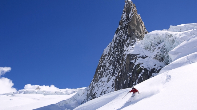美高梅公司：园林绿化防虫药