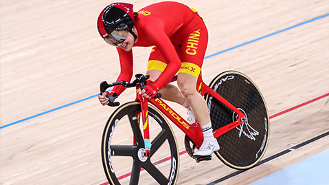 美高梅：园林绿化用什么树木