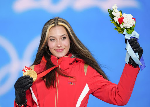 园林绿化常用蕨类植物