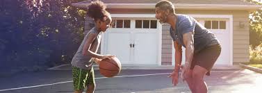 MGM：园林绿化观叶植物