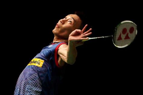 MGM：园林绿化夏天树种